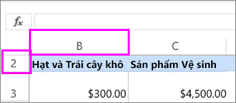 Cột và hàng đầu tiên bị ẩn