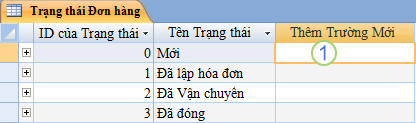 Biểu dữ liệu trong Access với cột Thêm Trường Mới