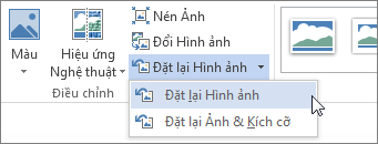 Lệnh Đặt lại Ảnh