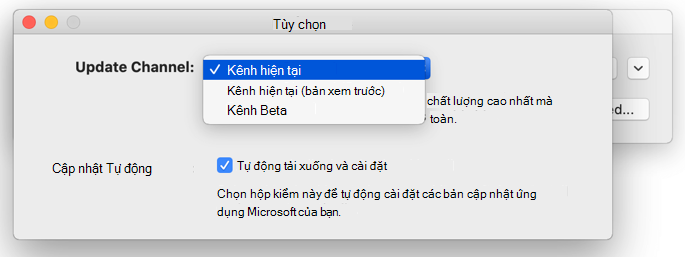 Hình ảnh cửa sổ Microsoft AutoUpdate -> Mac hiển thị các lựa chọn cập nhật kênh.