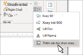 Menu Xoay với Tùy chọn Xoay Khác được chọn