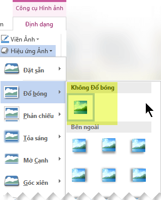 Tắt hiệu ứng ảnh bạn không muốn bằng cách chọn tùy chọn Không Hiệu ứng.