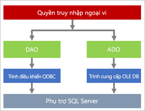 Các cấu phần truy nhập dữ liệu