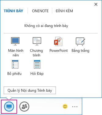 Tùy chọn trên tab Trình bày