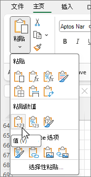 选项库中的“粘贴值”按钮