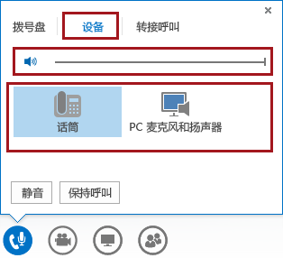 在会议音频"菜单的屏幕截图