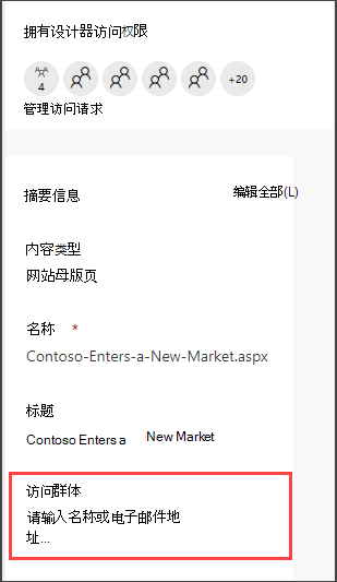 页面详细信息窗格，其中包含用于输入访问群体的选项