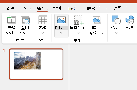 在 PowerPoint 中插入图像