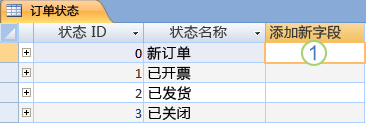 Access 中包含“添加新字段”列的数据表