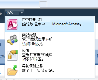 SharePoint 上的 Web 数据库网站的“选项”菜单