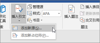 指向“插入引文”，并选择“添加新源”