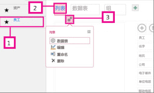 Access 应用程序可用的视图