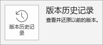 "信息" 页面内版本历史记录的按钮