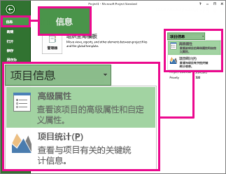 突出显示了高级属性的“项目信息”菜单