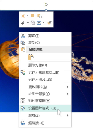 Publisher 中“设置图片格式”选项的屏幕截图。