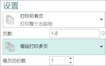设置为在每张纸上打印多份出版物。