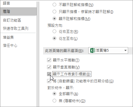 Excel 選項中的顯示工作表索引標籤