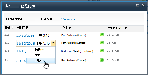 版本上醒目提示 [刪除] 的版本歷程記錄