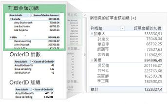 建議您的資料使用的樞紐分析表