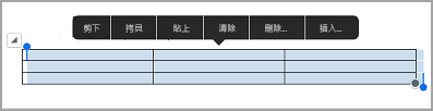 iPad 資料表命令列