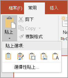 選取 [選擇性貼上]