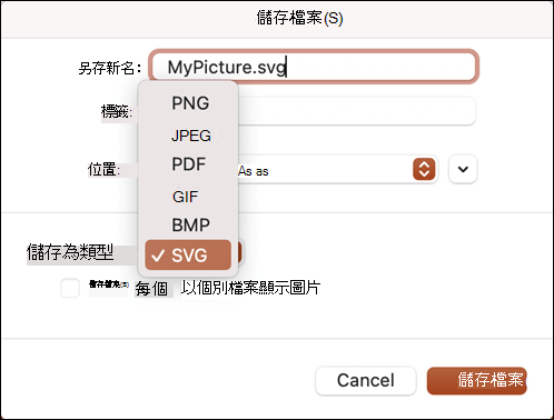 Mac 版 PowerPoint 2021 中已選取 SVG 選項的 [另存新檔] 對話方塊