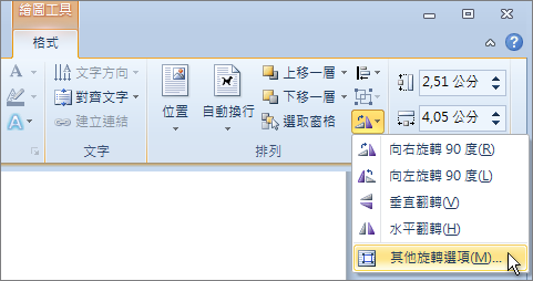 [旋轉] 功能表上的 [其他旋轉選項]