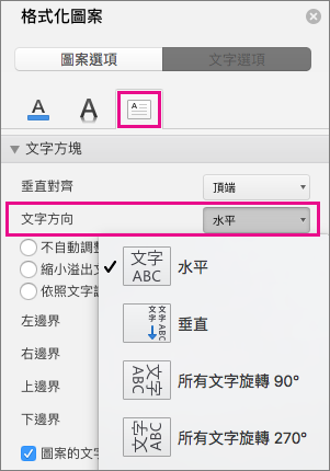 在 [格式化圖案] 窗格中，會醒目提示文字方向。