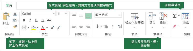 [常用] 索引標籤包含：[剪下]、[複製]、[貼上]、[貼上格式設定] 按鈕；[格式設定] 選項 (例如字型、對齊方式和數值格式)；插入列/欄；加總及排序