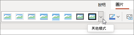 在投影片上選取圖片時，功能區上的 [圖片] 索引標籤可供使用。
