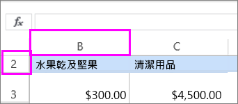 隱藏的第一欄和第一列