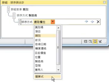 選擇 [群組、排序與合計] 窗格中的運算式選項。