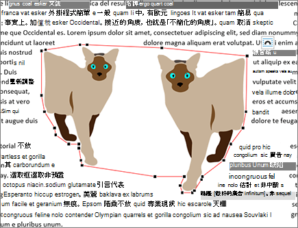 未編輯的圖旁串字點