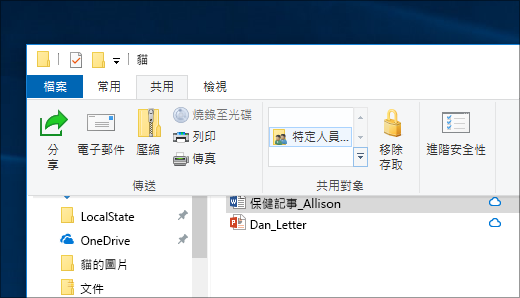 與網路上的特定人員共用檔案