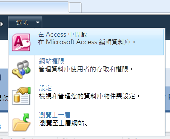 SharePoint 上的 Web 資料庫之 [選項] 功能表