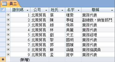 [資料工作表] 檢視中的 [員工] 表格