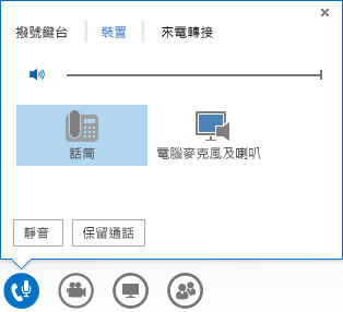 音訊選項的螢幕擷取畫面