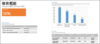 [專案概觀] 報表