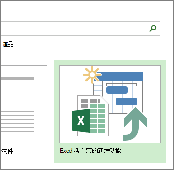 Excel 活頁簿範本