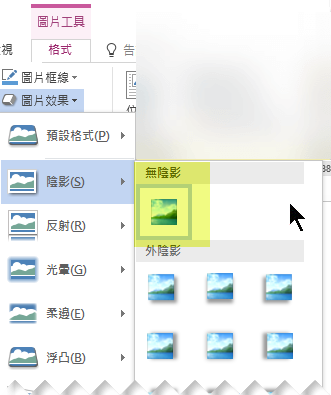 選擇 [無效果] 選項，關閉您不想要的圖片效果。