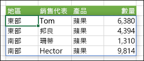 輸出範圍以藍色框線強調顯示的陣列公式