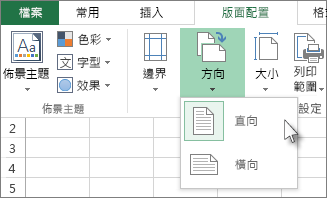 按一下 [常用] 索引標籤上的 [方向]