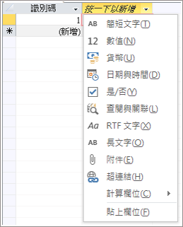 [按一下以新增] 資料類型下拉式清單的擷取畫面