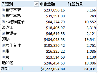 顯示您向下切入項目的樞紐分析表