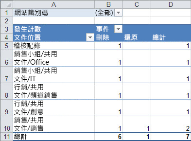 樞紐分析表中的稽核資料摘要