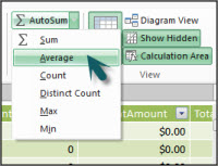 PowerPivot 中的自動加總