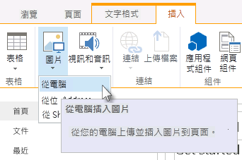 從電腦插入圖片選項