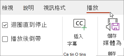 視訊播放的影像